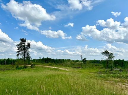 Land for sale in Hale County, Alabama