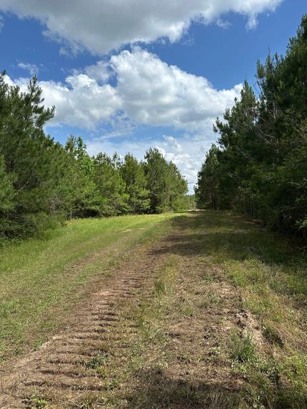 Land for sale in Covington County, Alabama