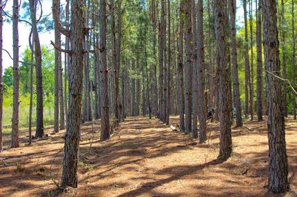 Hunting Property for sale in Dale County, Alabama