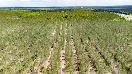 Land for sale in Jackson County, Florida