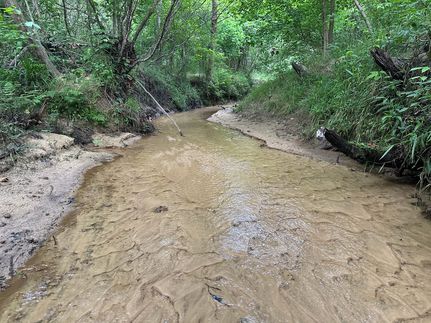 Farm and Ranch for sale in Bullock County, Alabama