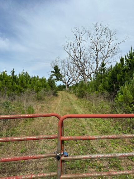 Timberland Property for sale in Conecuh County, Alabama