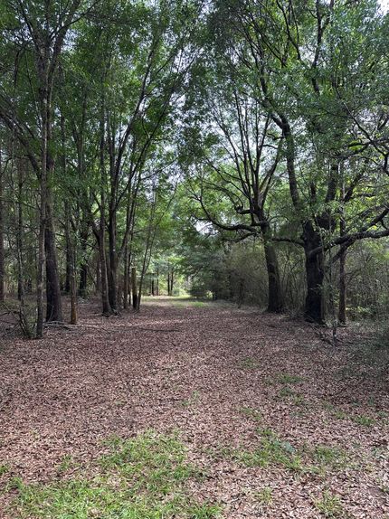 Land for sale in Conecuh County, Alabama