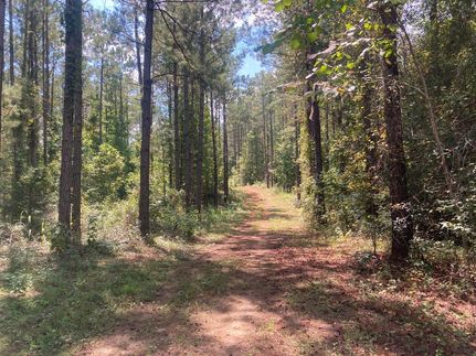 Land for sale in Elmore County, Alabama