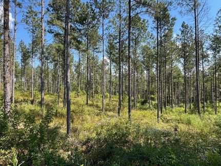 Undeveloped Land for sale in Elmore County, Alabama