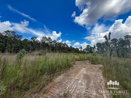 Land for sale in Coffee County, Alabama