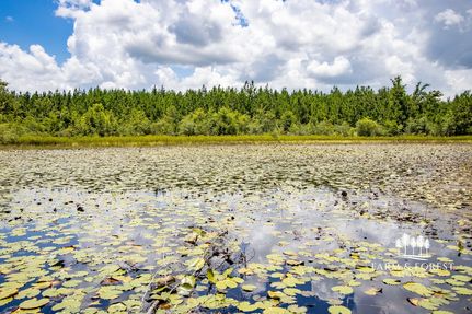 Land for sale in Jackson County, Florida