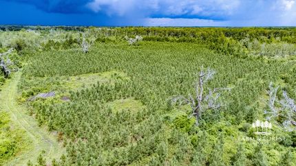 Undeveloped Land for sale in Jackson County, Florida