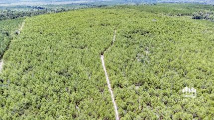 Land for sale in Jackson County, Florida