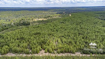 Hunting Property for sale in Jackson County, Florida