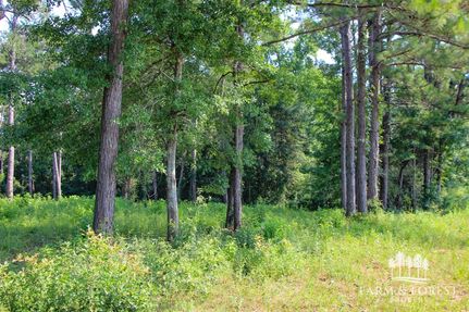 Recreational Property for sale in Coffee County, Alabama