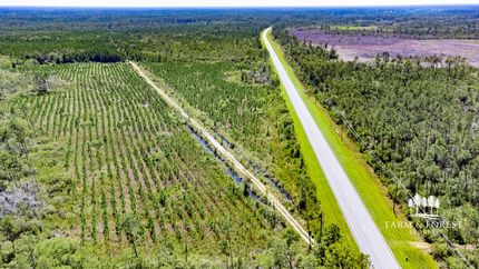 Undeveloped Land for sale in Gulf County, Florida