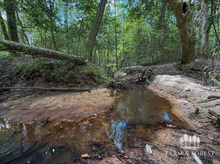 Hunting Property for sale in Coffee County, Alabama