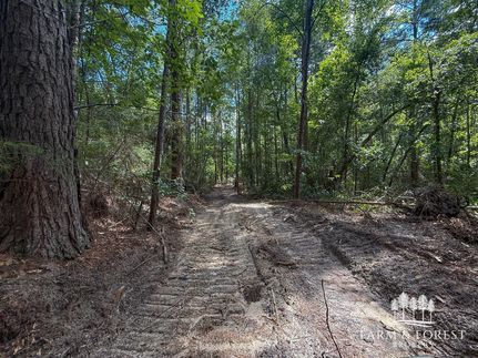 Timberland Property for sale in Coffee County, Alabama