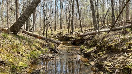 Timberland Property for sale in Jones County, Georgia