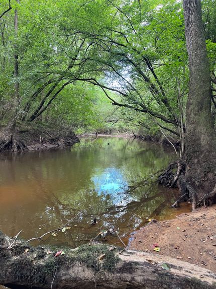 Land for sale in Pickens County, Alabama