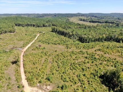 Land for sale in Hale County, Alabama