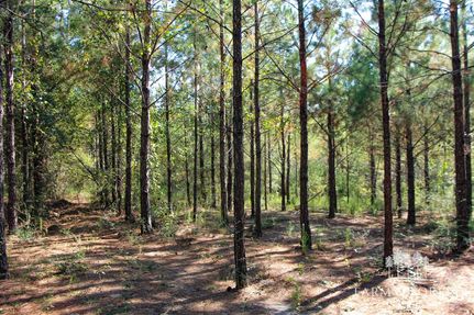 Recreational Property for sale in Washington County, Florida