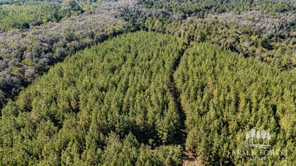 Land for sale in Washington County, Florida