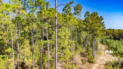 Land for sale in Holmes County, Florida