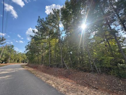 Recreational Property for sale in Lee County, Alabama