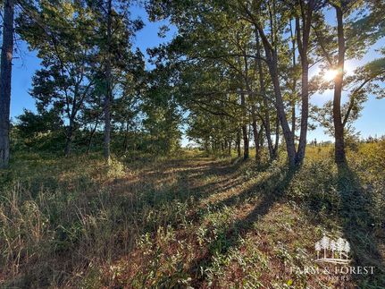 Farm and Ranch for sale in Geneva County, Alabama