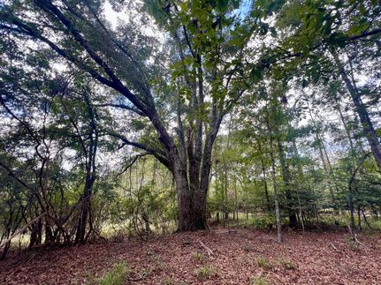 Hunting Property for sale in Pike County, Alabama