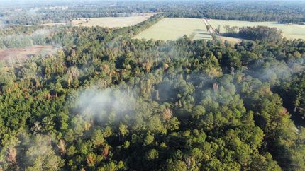 Land for sale in Macon County, Alabama