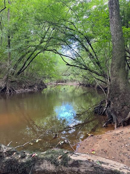 Hunting Property for sale in Pickens County, Alabama