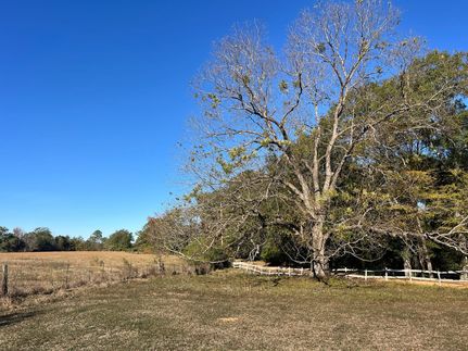 Timberland Property for sale in Dallas County, Alabama