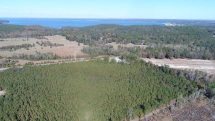 Commercial Property for sale in Henry County, Alabama