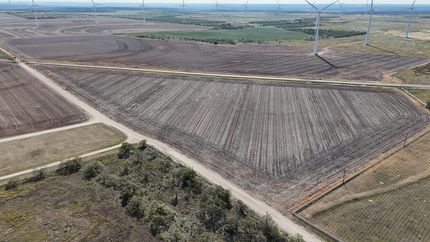 Timberland Property for sale in Nolan County, Texas