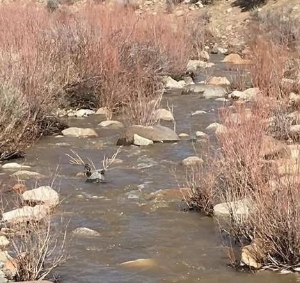 Recreational Property for sale in Douglas County, Nevada