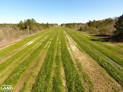 Farm and Ranch in Jefferson Davis Parish, Louisiana