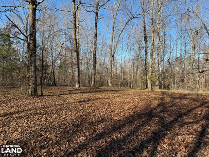 Hunting Property for sale in Lauderdale County, Alabama
