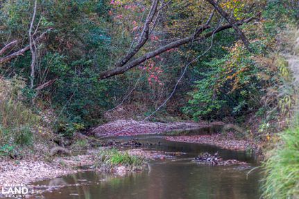 Land for sale in Lincoln County, Mississippi