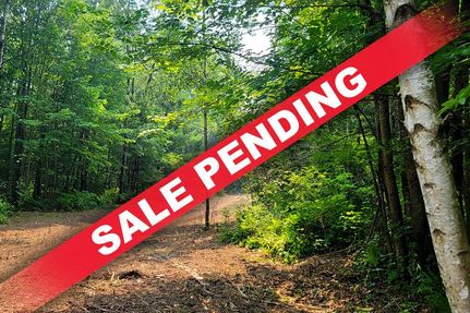 Hunting Property for sale in Sawyer County, Wisconsin