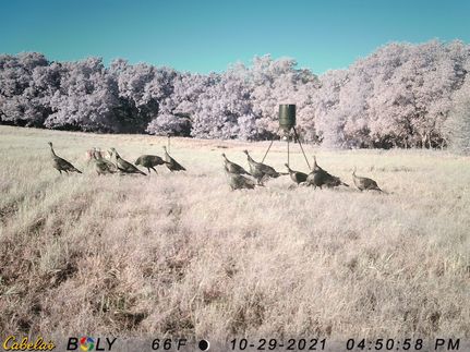 Land in Blaine County, Oklahoma