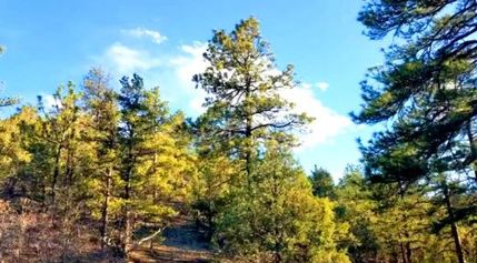 Recreational Property for sale in Fremont County, Colorado