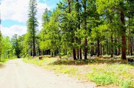 Land for sale in Gilpin County, Colorado