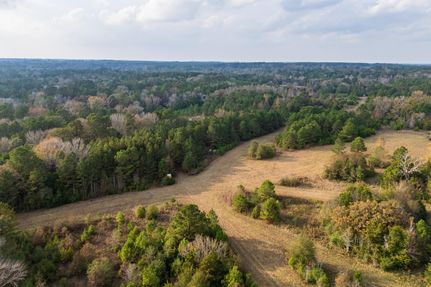 Hunting Property for sale in Houston County, Texas
