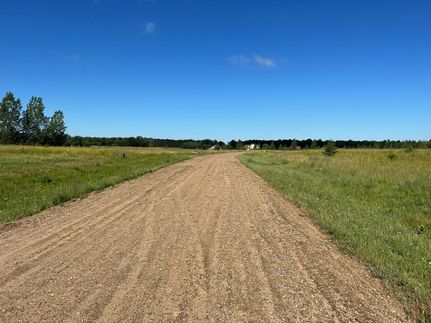Undeveloped Land for sale in Beltrami County, Minnesota
