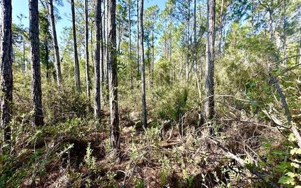 Land for sale in Lafayette County, Florida