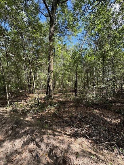 Land for sale in Marion County, Florida