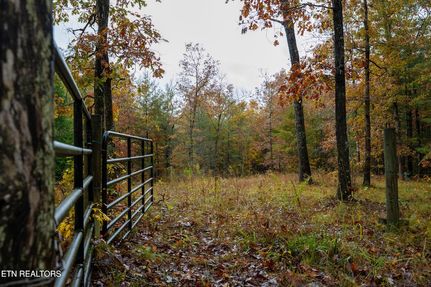 Undeveloped Land for sale in Fentress County, Tennessee