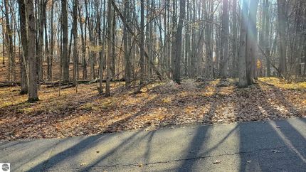 Riverfront Property for sale in Mecosta County, Michigan