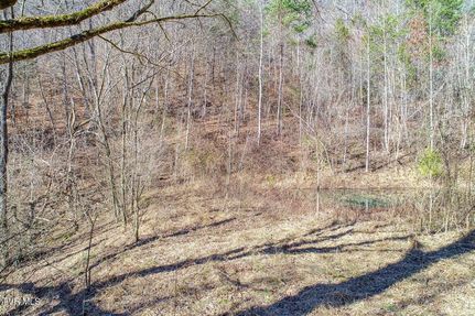 Undeveloped Land for sale in Hancock County, Tennessee