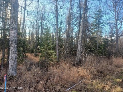 Farm and Ranch for sale in Matanuska-Susitna Borough, Alaska