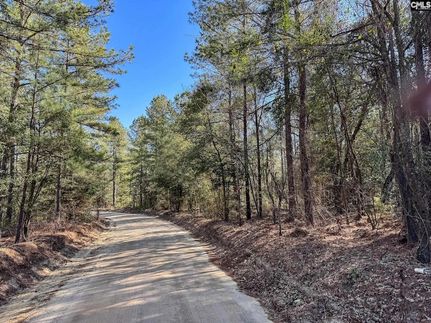 Undeveloped Land for sale in Lexington County, South Carolina