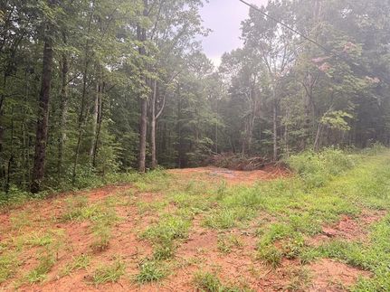 Land for sale in Gilmer County, Georgia